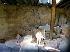 183 D21 SANARY SUR MER 1_000048